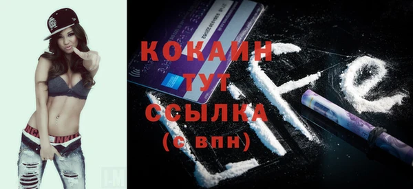 гидра Елабуга