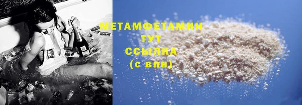 индика Ельня
