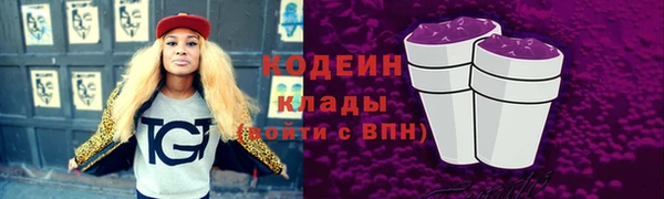 гидра Елабуга