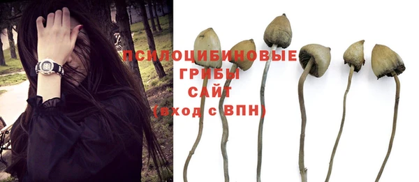 spice Елизово