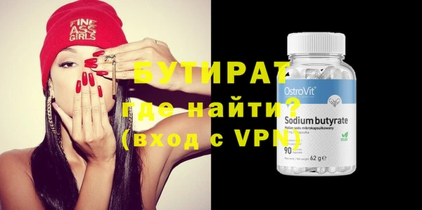 индика Ельня