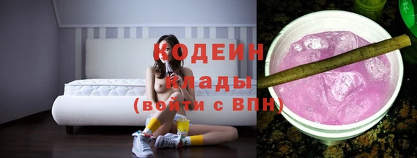 индика Ельня