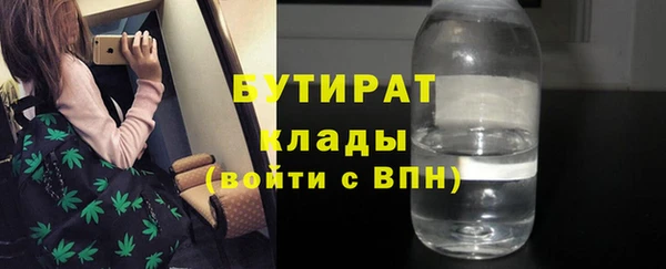 индика Ельня