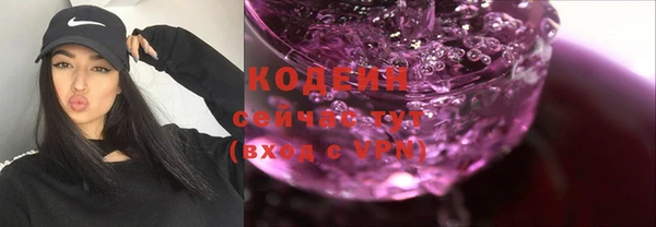 гидра Елабуга