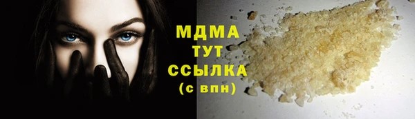 индика Ельня