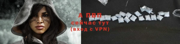 гидра Елабуга