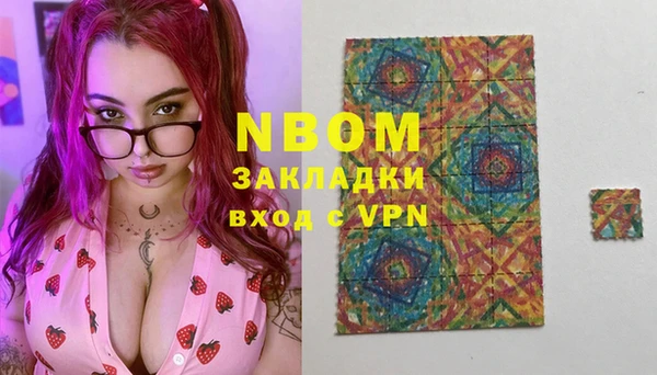 гидра Елабуга