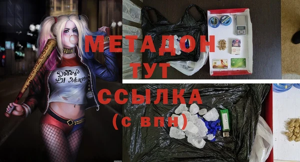 индика Ельня