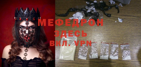 индика Ельня