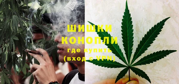 гидра Елабуга
