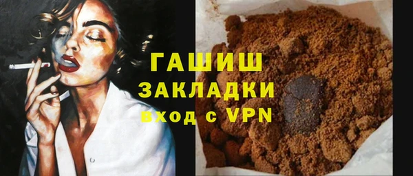 индика Ельня