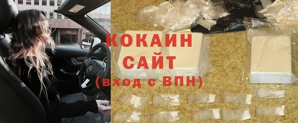 индика Ельня