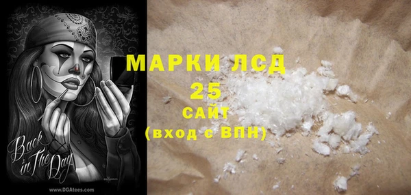 spice Елизово