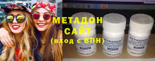 индика Ельня