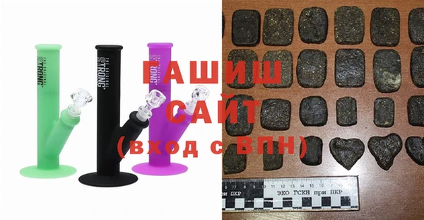 индика Ельня