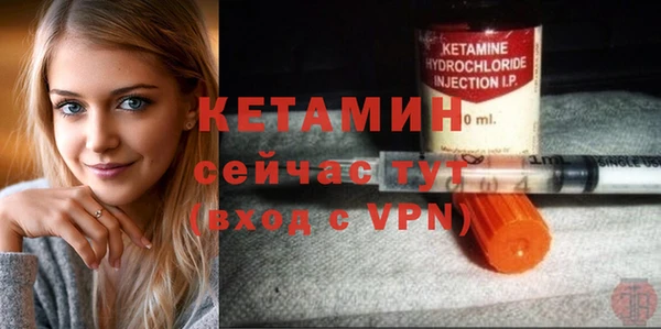гидра Елабуга