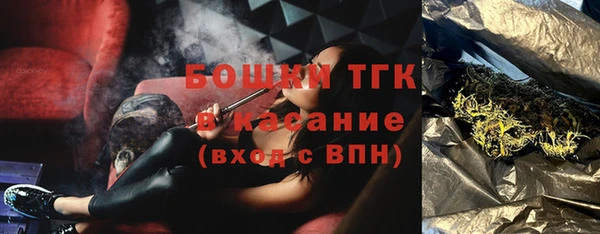 гидра Елабуга
