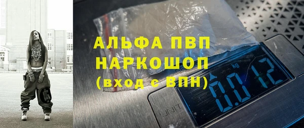 гидра Елабуга