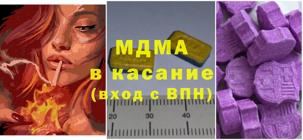 индика Ельня