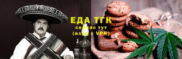 индика Ельня