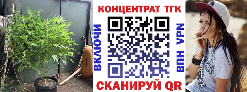 Купить закладки  Рудня  ТГК вейп 