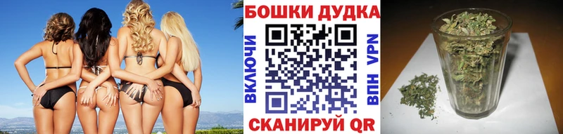 Каннабис OG Kush  Купить  Рудня 